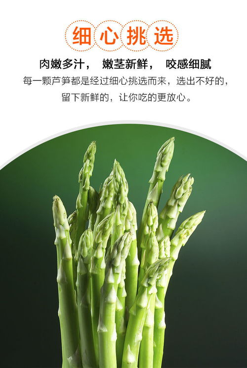 春嘗蘆筍正當(dāng)時 山東應(yīng)季農(nóng)家特產(chǎn)的新鮮密碼