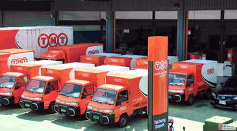 鄭州TNT快遞服務優勢解析 卓越的國內貨運代理解決方案